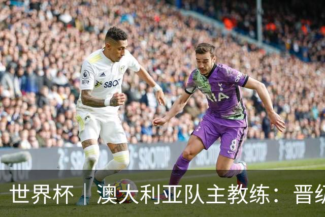 世界杯｜澳大利亚队主教练：晋级淘汰赛是我们应得的