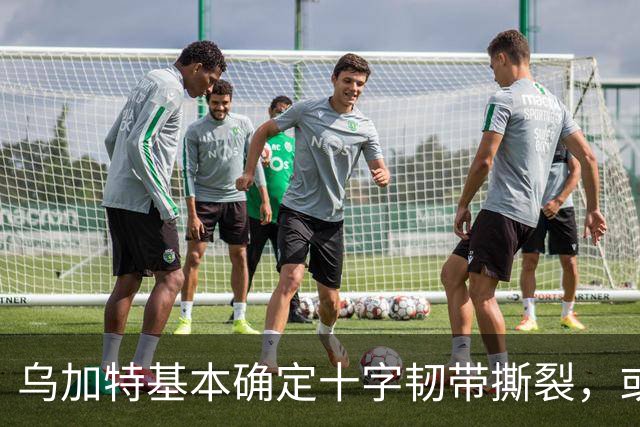 乌加特基本确定十字韧带撕裂，或迫使曼联买人！若伤缺一年可获赔500万